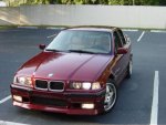 angel eyes in daylight.jpg