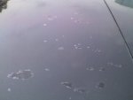 23-05-08_2013.jpg